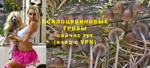 дмт Абинск
