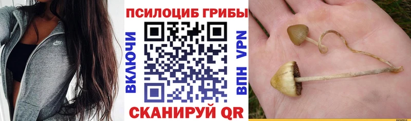 Псилоцибиновые грибы прущие грибы  Елизаветинская 